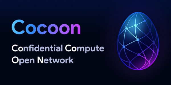 Павел Дуров запустил проект Cocoon: что известно