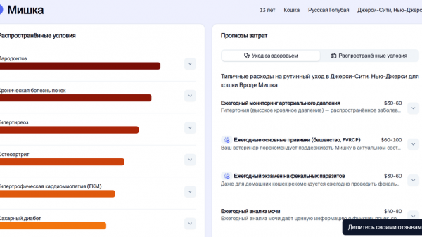 В сети появилась нейросеть-ветеринар: как она работает